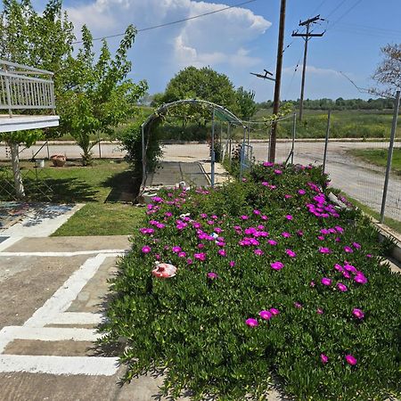 הוילה Fanárion Pomegranate Seaside Corner מראה חיצוני תמונה