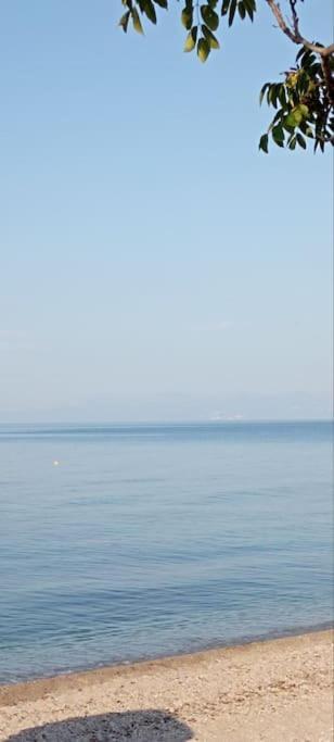 הוילה Fanárion Pomegranate Seaside Corner מראה חיצוני תמונה