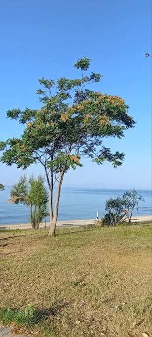 הוילה Fanárion Pomegranate Seaside Corner מראה חיצוני תמונה