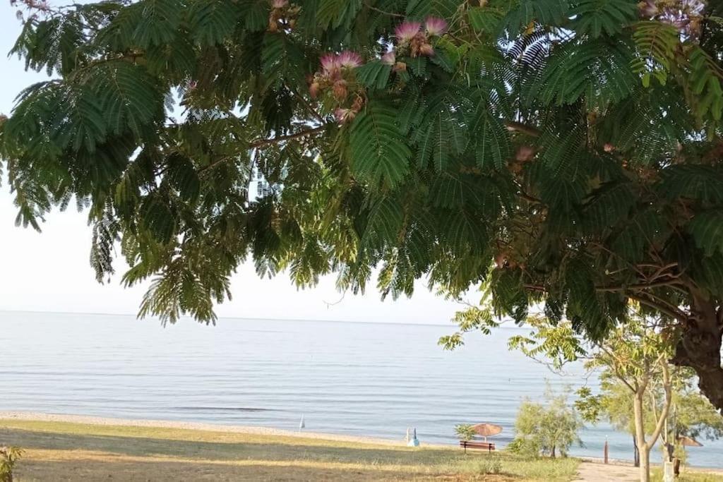 הוילה Fanárion Pomegranate Seaside Corner מראה חיצוני תמונה